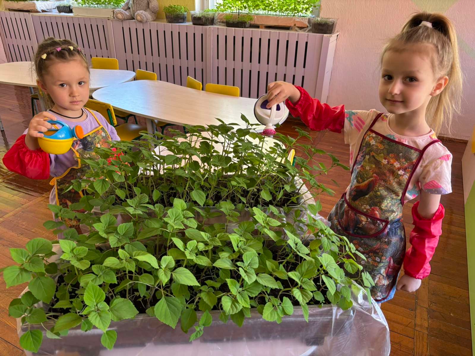 Бережем природу